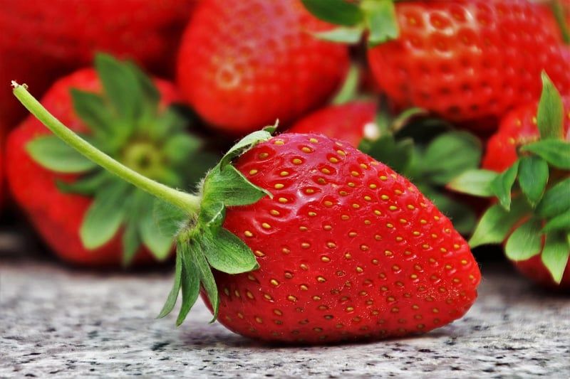 Astuces 2026 pour maintenir une alimentation saine chez les enfants au quotidien